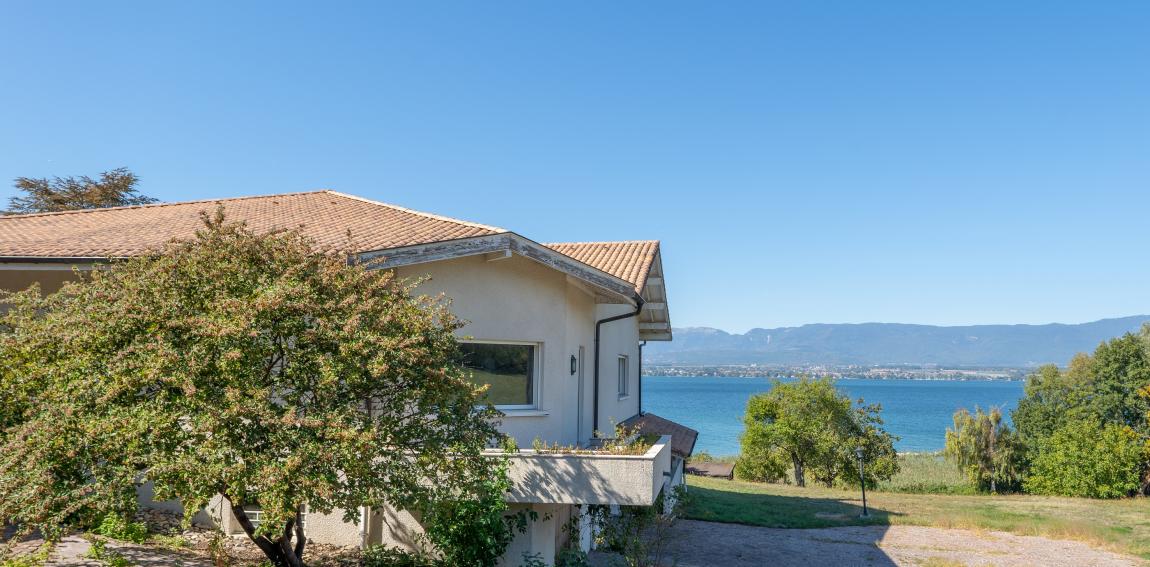 pieds dans l'eau genève chens sur léman