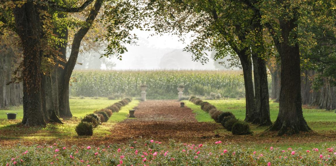 France Geneva domain golf wealth