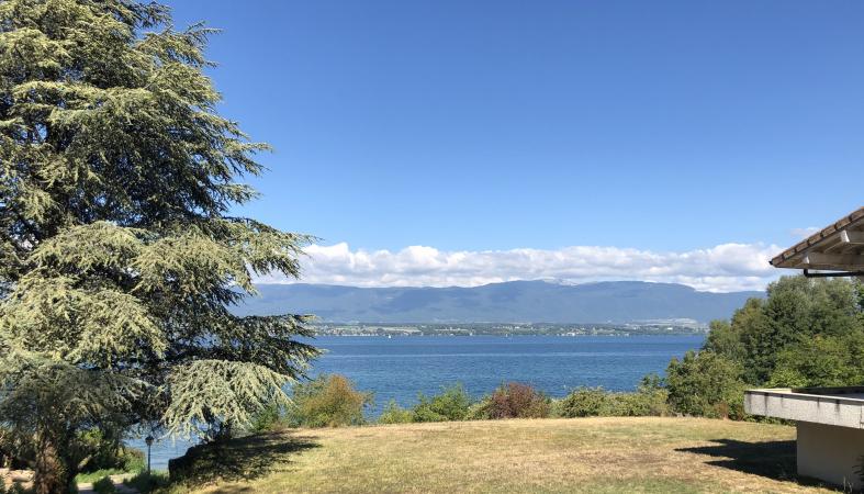 pieds dans l'eau genève chens sur léman